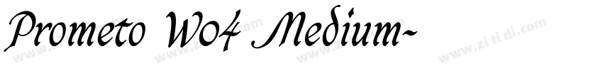 Prometo W04 Medium字体转换